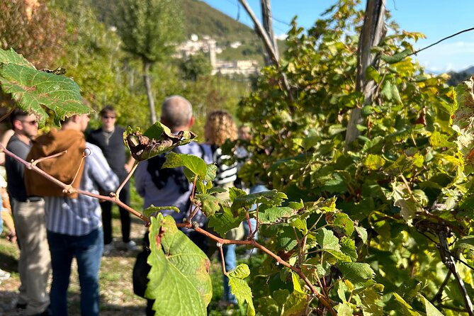 2 Guests Private Prosecco Road Tour All Inclusive from Venice - Valdobbiadene and the vineyard picnic