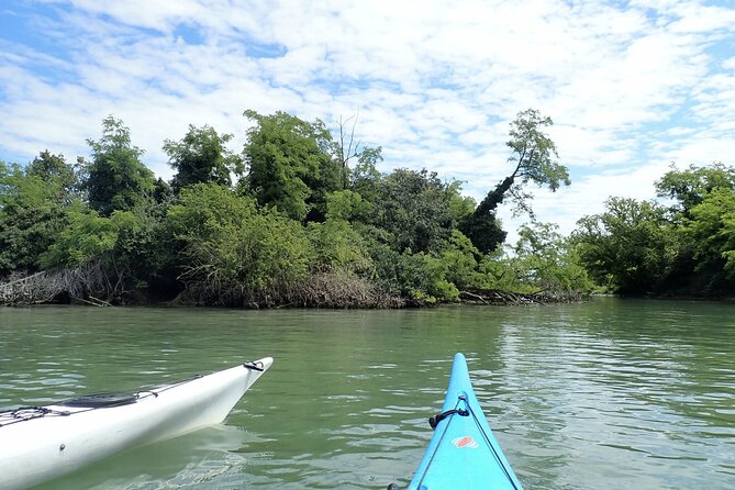 2 Hour Night Kayak Tour in Venice, premium experience with sunset - Into the Venetian Lagoon