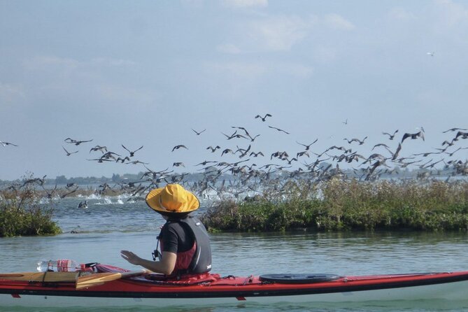 2 Hour Night Kayak Tour in Venice, premium experience with sunset - A short lesson before the canals