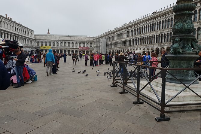 3-hour Best of Venice Highlights Private Walking Tour - Rialto Bridge and the commercial heart of Venice