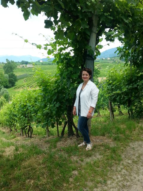 8-Hour Prosecco Wine and Tastings Tour from Venice or Padua - Leaving Venice for the Prosecco hills