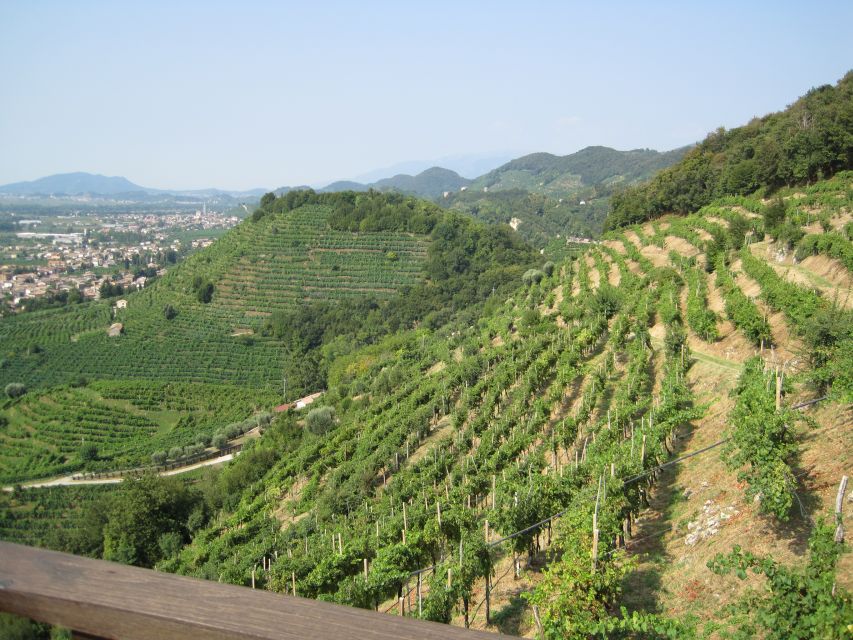 8-Hour Prosecco Wine and Tastings Tour from Venice or Padua - First winery: production, vineyards, and tasting