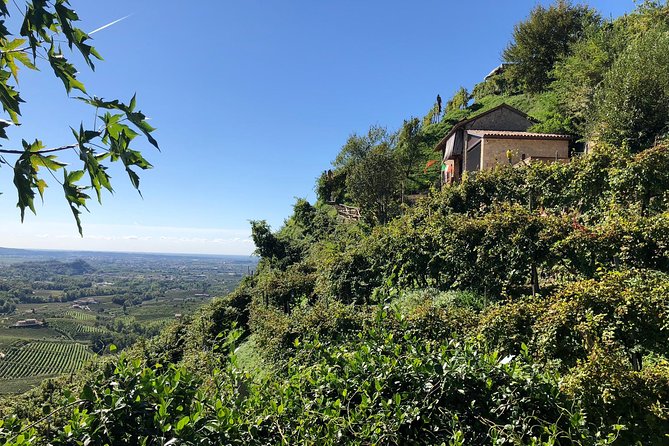A Sparkling Day in the Prosecco Hills from Venice - Pieve di Soligo and the four-course family lunch