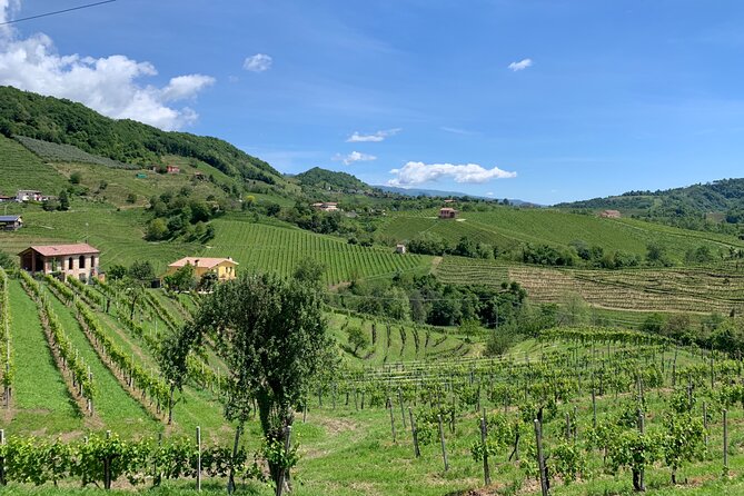A Sparkling Day in the Prosecco Hills from Venice - What the guides add to the day