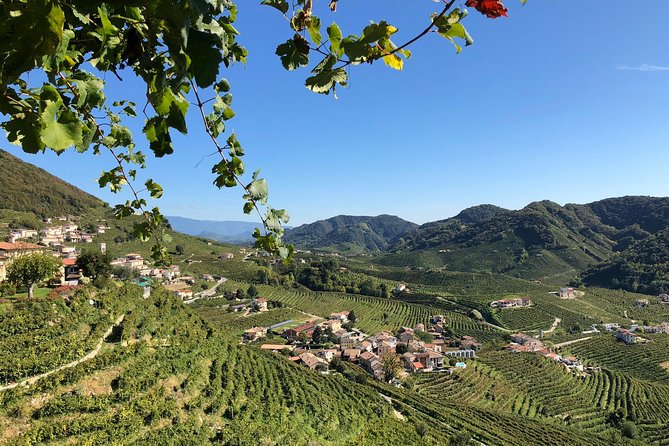 A Sparkling Day in the Prosecco Hills from Venice - Valdobbiadene: start with four Proseccos