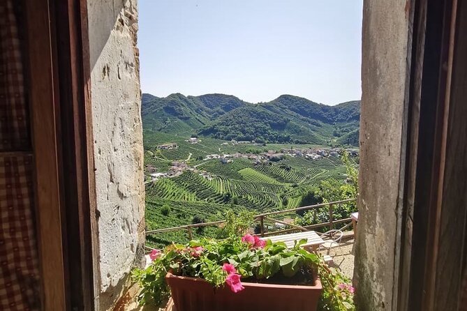 Adventure in the Prosecco Hills by Yellowboot - Meeting Carlo or Giulia in Conegliano