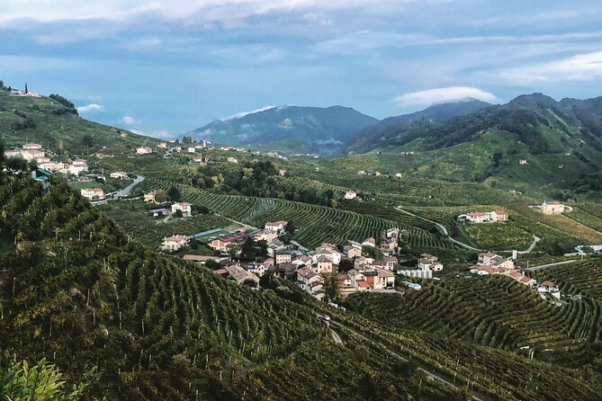 Adventure in the Prosecco Hills by Yellowboot - Second winery: comparing family production