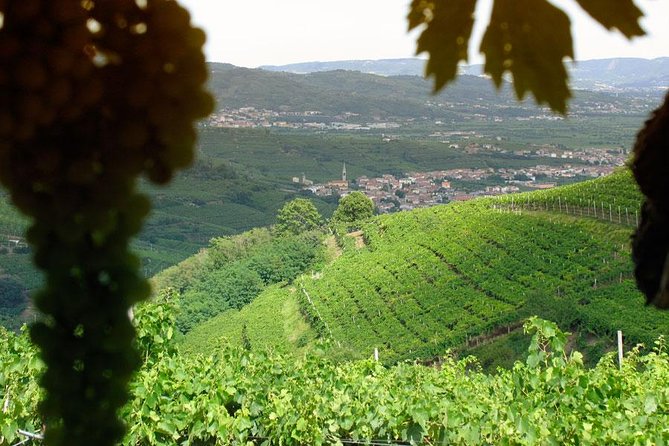 Amarone & Soave Wine Tour with Sommelier – Visit Verona - Key points to know before booking