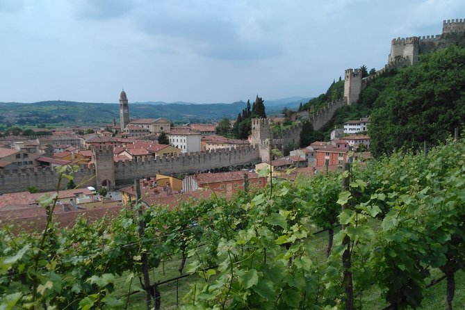 Amarone & Soave Wine Tour with Sommelier – Visit Verona - First tasting: Soave and its family producers