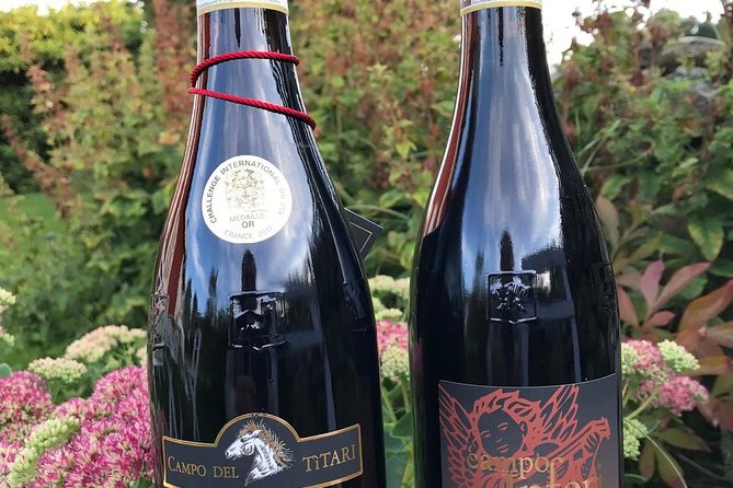 Amarone-Valpolicella tour. Visit Verona. From Venice - Why this Venice day trip works