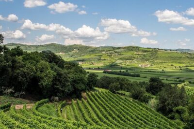 Amarone-Valpolicella tour. Visit Verona. From Venice