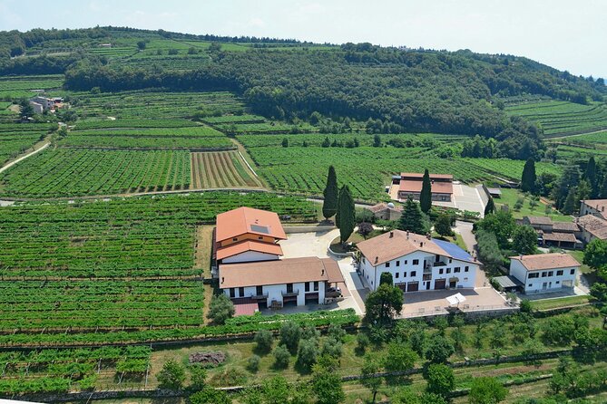 Amarone-Valpolicella tour. Visit Verona. From Venice - Cheese, salami, and four wines at the table