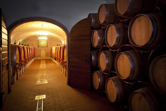 Amarone-Valpolicella tour. Visit Verona. From Venice - Riccardo’s role makes a difference