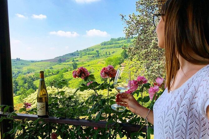 Amarone-Valpolicella tour. Visit Verona. From Venice - Is $240 a fair price?