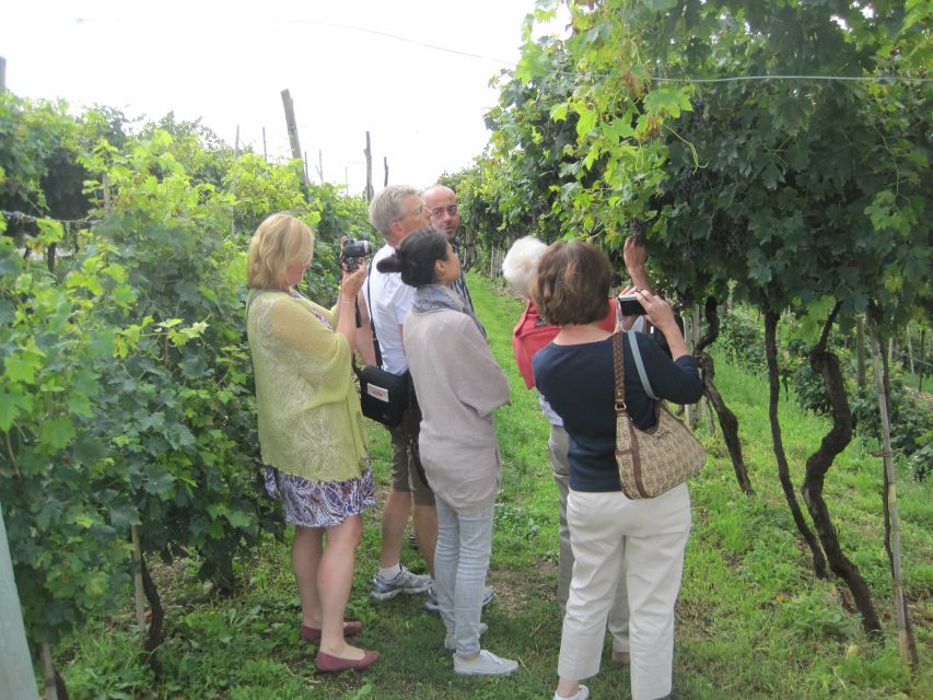 Amarone Wine Tour & Tasting from Venice, Padua or Verona - Why Amarone country is worth a full day