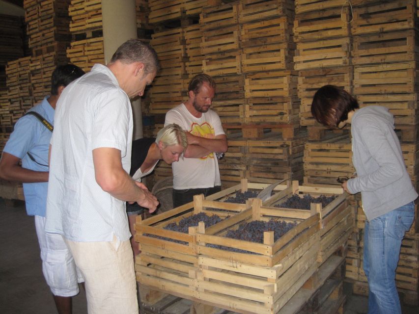 Amarone Wine Tour & Tasting from Venice, Padua or Verona - Is the $542.03 price fair?