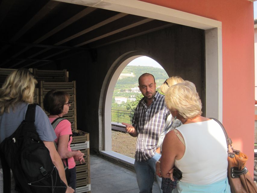 Amarone Wine Tour & Tasting from Venice, Padua or Verona - Who should book this experience?