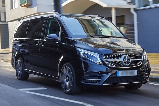 Arrival by Private Luxury Van Venice Airport VCE to Piazzale Roma - Who should book this private arrival transfer?