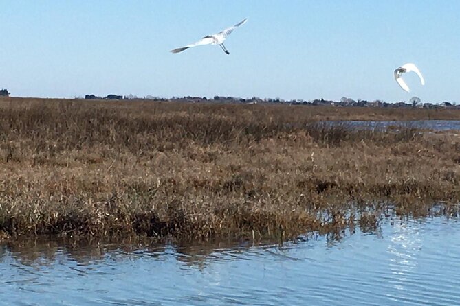 Burano Kayak Eco-Tour Through the Venetian Lagoon - Paddling through salt marshes and lagoon wildlife