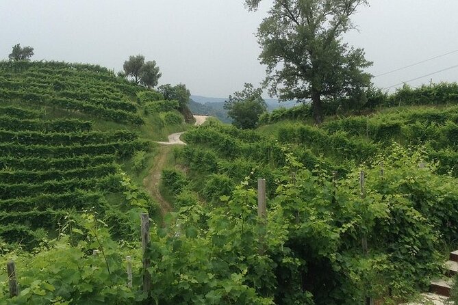 Exclusive Prosecco Wine Tour from Venice - Small Group - Why Riccardo makes a difference