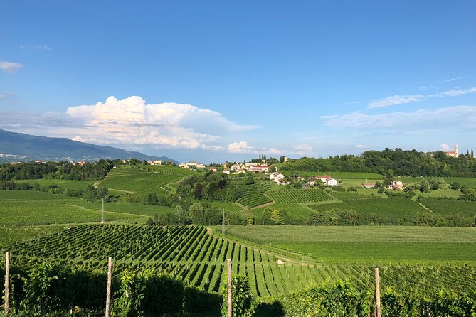 Food and Wine Tour on the Prosecco Hills from Venice - Valdobbiadene and the DOCG hills