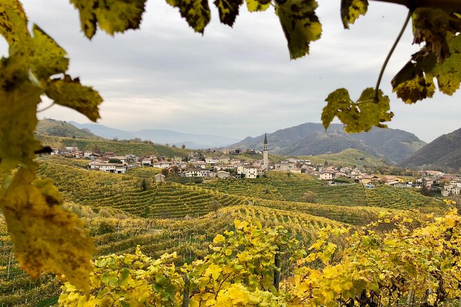 Food and Wine Tour on the Prosecco Hills from Venice - A family winery and local snacks