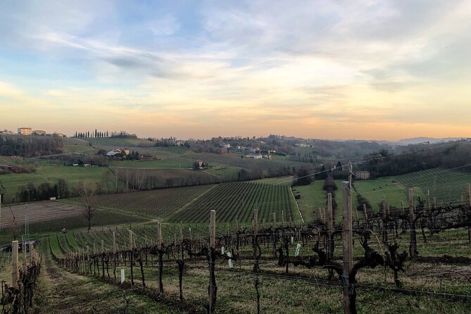 Food and Wine Tour on the Prosecco Hills from Venice - Leaving Venice from Piazzale Roma at 9:30