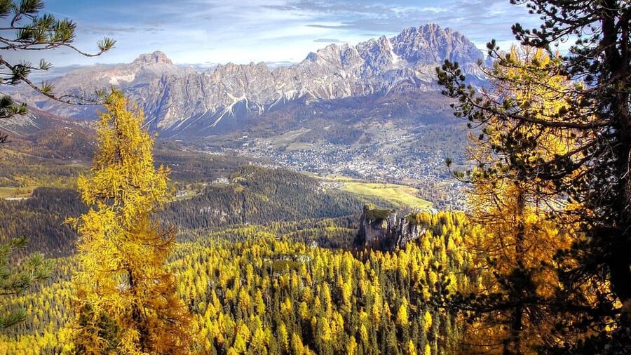 From Venice and Treviso: Dolomites Day Tour - What the $225.44 price includes