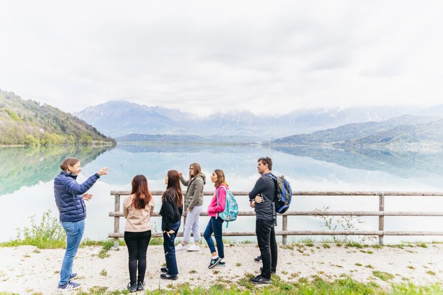 From Venice: Cortina and Dolomites Mountains Day Trip - What the driver adds to the experience