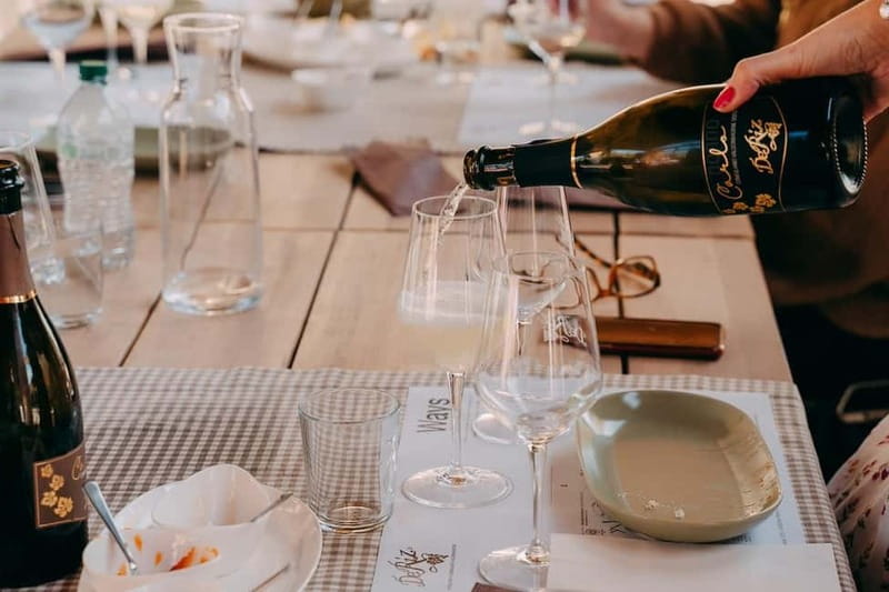 From Venice: Prosecco Hills and Wine Tasting Tour - Is the $153 price fair?