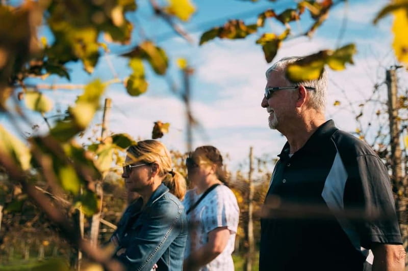 From Venice: Prosecco Hills and Wine Tasting Tour - Who should book this day trip?
