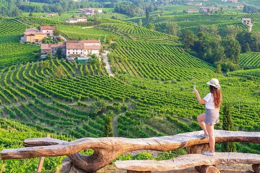 From Venice: Wine and Food tour in the Prosecco Hills - From Piazzale Roma to the Prosecco Hills