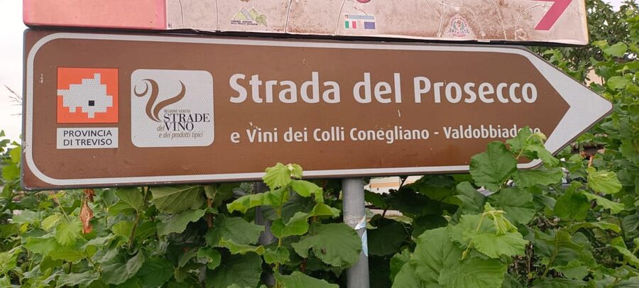 From Venice: Wine and Food tour in the Prosecco Hills - Is $175.59 a fair price?