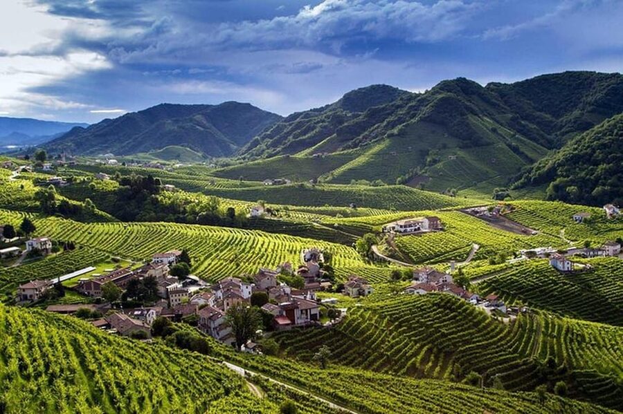 From Venice: Wine and Food tour in the Prosecco Hills - Practical details before you reserve