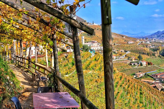 Full day Private Prosecco Tour, with certified Sommelier - Tasting Prosecco where it is made