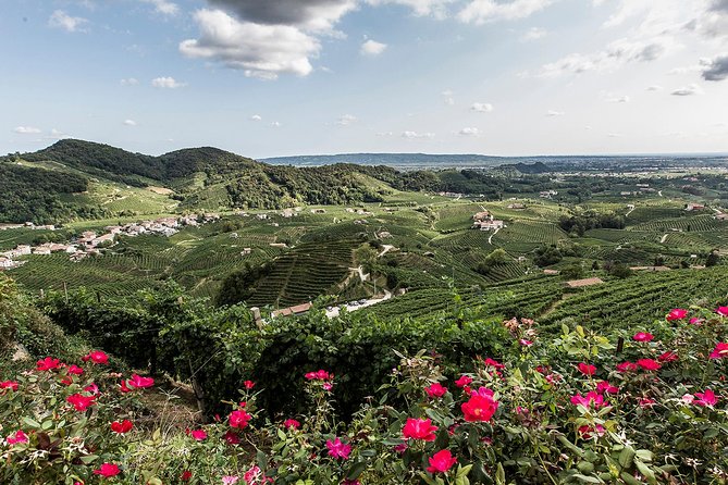 Full day Private Prosecco Tour, with certified Sommelier - A second winery adds useful contrast