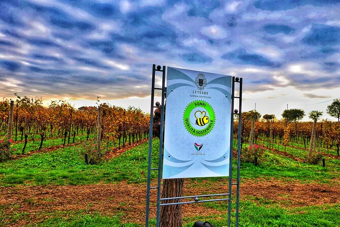 Full day Private Prosecco Tour, with certified Sommelier - Who will get the most from this day