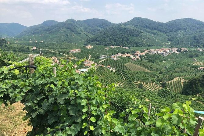 Full Day Prosecco and Cheese Tasting from Venice - Key points to know before booking