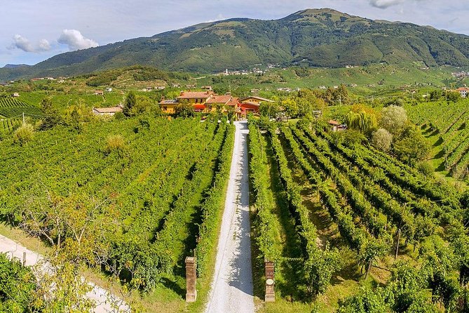 Full Day Prosecco and Cheese Tasting from Venice - Is $230 a fair price?