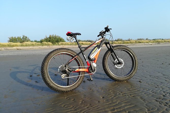 Full Day Venice E-Bike Rental - Key points to know before you book