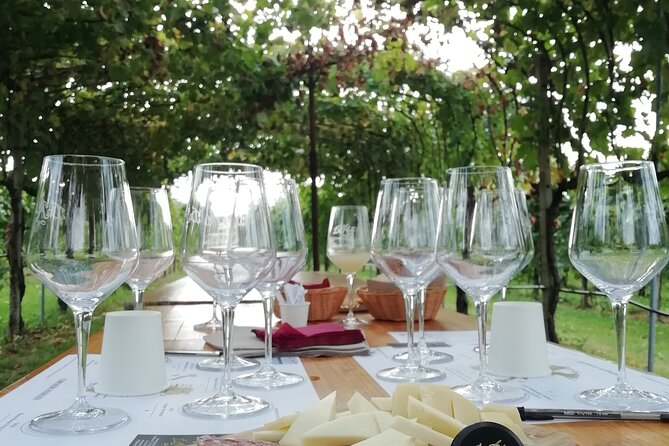 Full Day Wine Tour and Tasting in the Prosecco Region - Leaving Piazzale Roma at 9 a.m.