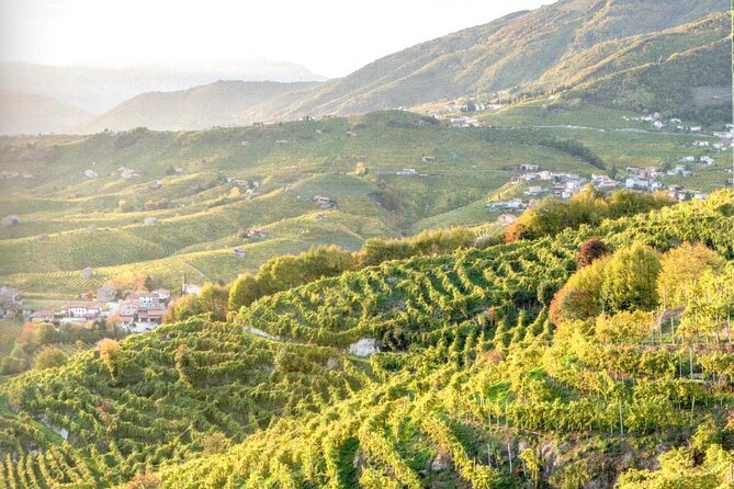 Full Day Wine Tour and Tasting in the Prosecco Region - A second cellar with a different feel