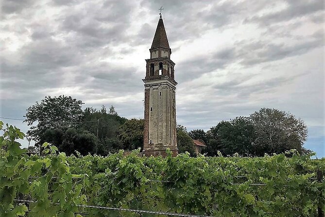 Island Hopping Tour: Mazzorbo, Burano and Murano - Mazzorbo and the Dorona vineyard