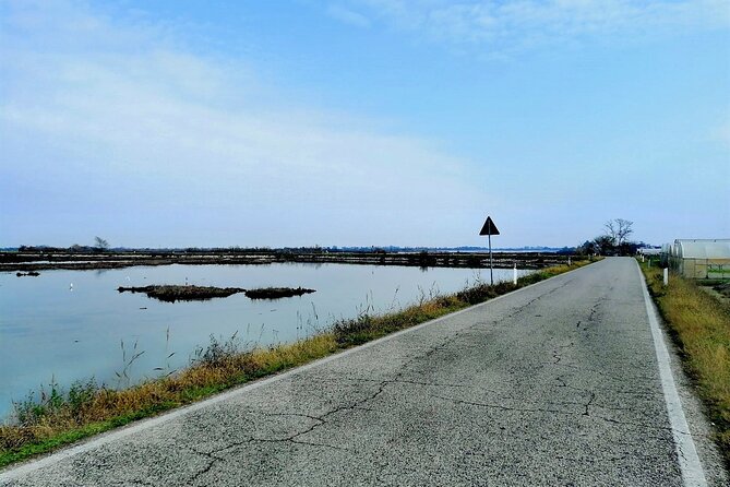 Lio Piccolo: Flamingos & Birdwatching Bike Tour in the Lagoon - Why Lio Piccolo changes your view of Venice