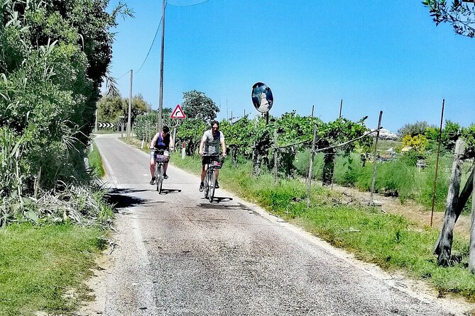 Lio Piccolo: Flamingos & Birdwatching Bike Tour in the Lagoon - Via delle Mesole and the lagoon’s changing scenery
