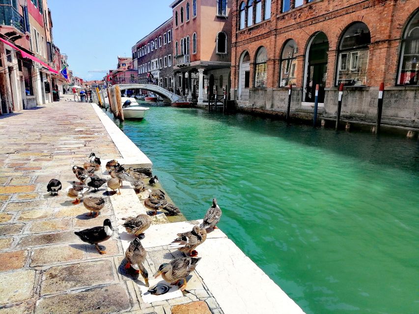 Murano: Glass Lampwork Workshop and Walking Tour - Price, Time, and Overall Value