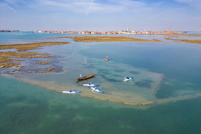 Nature Kayak Tour: Exploring Europe’s Largest Lagoon - Paddling past wetlands and lagoon islands
