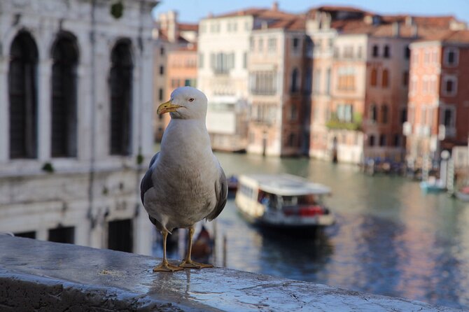 Photography workshop in the magical Venice (3h) - Reaching Piazza San Marco