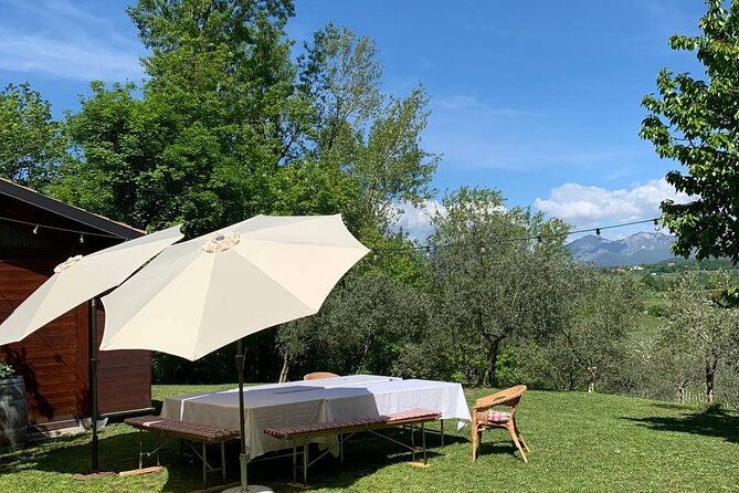 Premium Private Prosecco Hills Tour - 2 Wineries. Private tour. - Farra di Soligo and the technical tasting