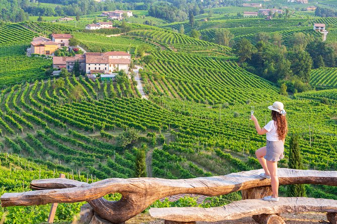 Premium Prosecco Hills Winery Tour with Prosecco Tastings & Food - Key points to know before you book
